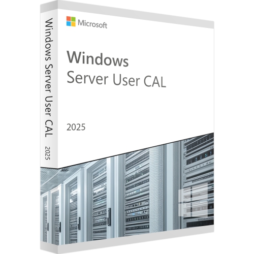 Microsoft Windows Server 2022 User CAL