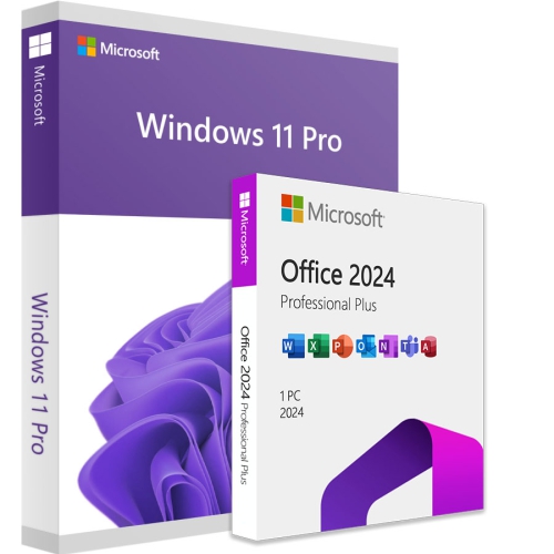 Microsoft Windows 11 Pro + Office 2024 Professional Plus LTSC
